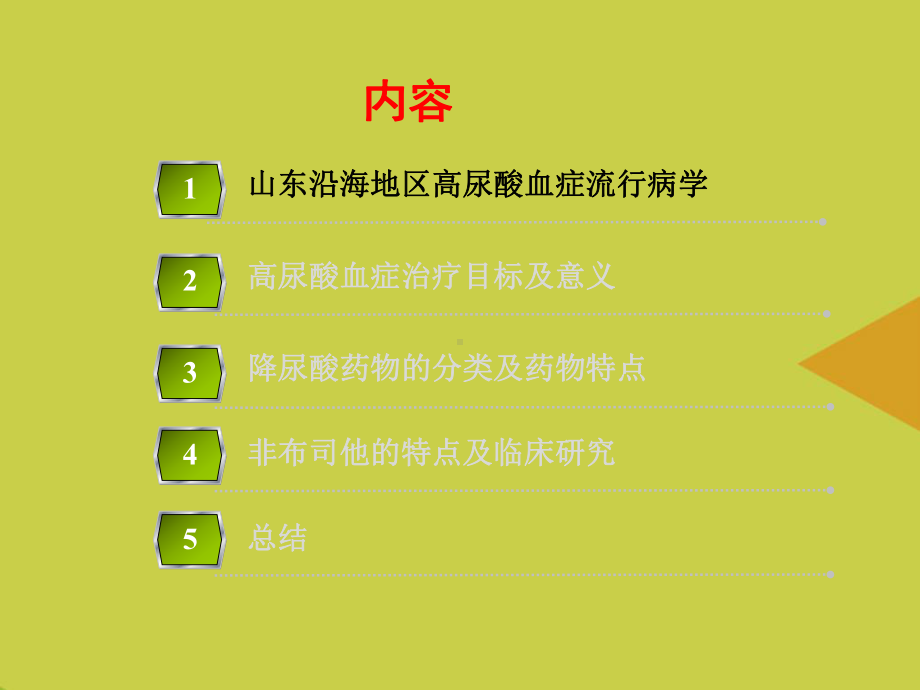 降尿酸药物新认识推选资料课件.ppt_第2页