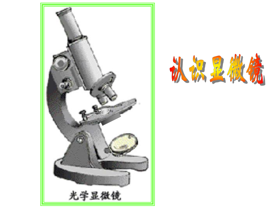 第一节练习使用显微镜课件.ppt_第2页