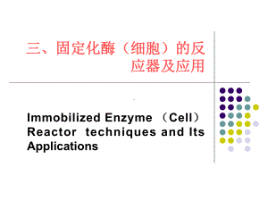 第七讲固定化酶反应器课件.ppt