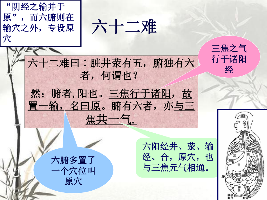 针灸医籍选读课件第二章《难经》选第二节《难经》文选六十二至六十七.ppt_第1页