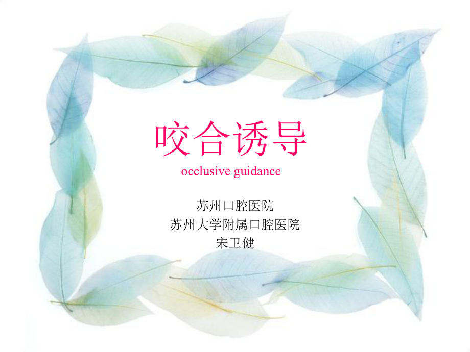 第九章咬合诱导课件.ppt_第1页