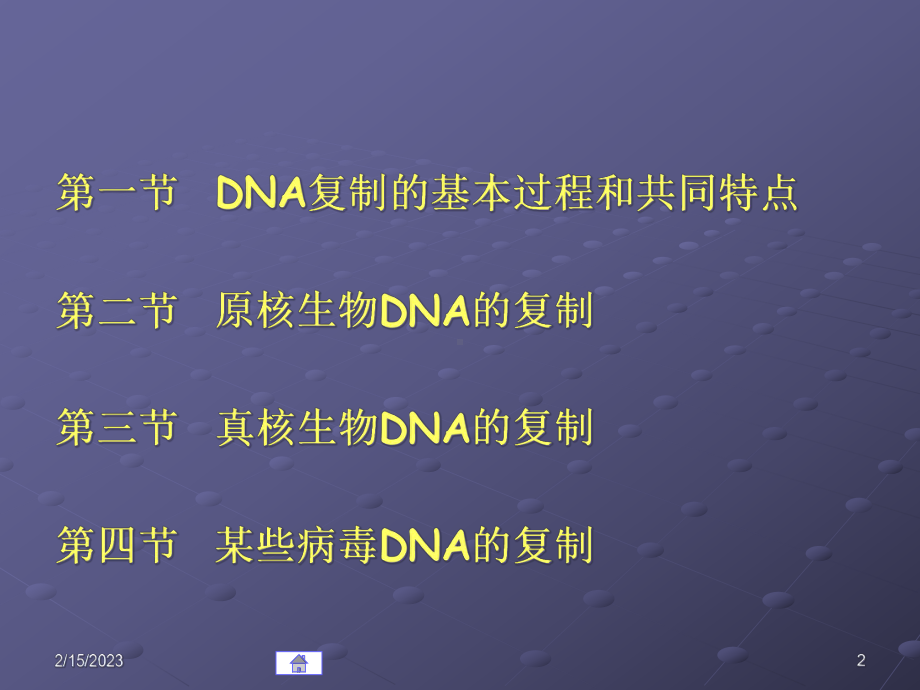 第03章DNA的复制课件.pptx_第2页