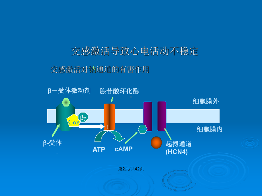 颈交感神经切除术治疗恶性心律失常教案课件.pptx_第3页