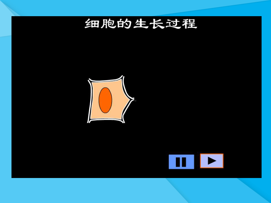 细胞通过分裂产生新细胞课件24-人教版优秀课件.ppt_第3页