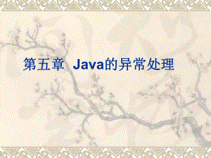 第五章Java的异常处理课件.ppt