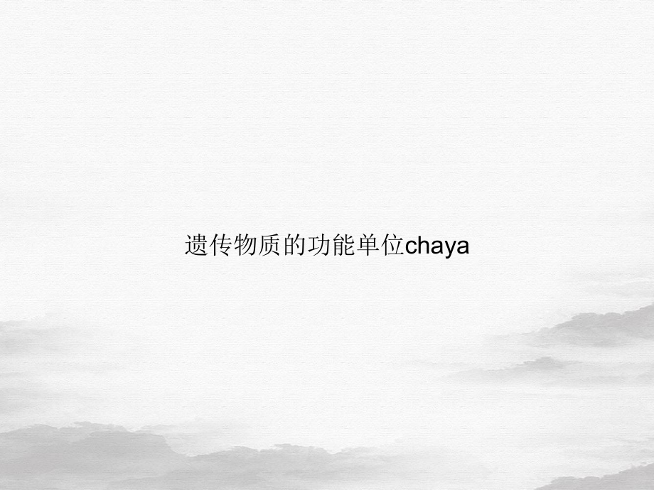 遗传物质的功能单位chaya课件.ppt_第1页