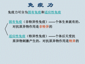 第八章固有免疫的组成细胞(常课件).ppt