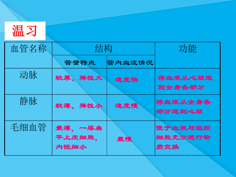 输送血液的泵-心脏课件37-人教版优秀课件.ppt_第1页