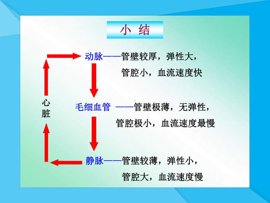 输送血液的泵-心脏课件37-人教版优秀课件.ppt_第3页