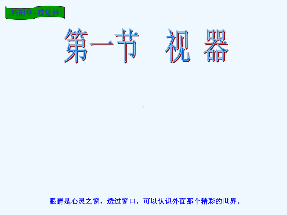 解剖学第九章感觉器课件.ppt_第2页