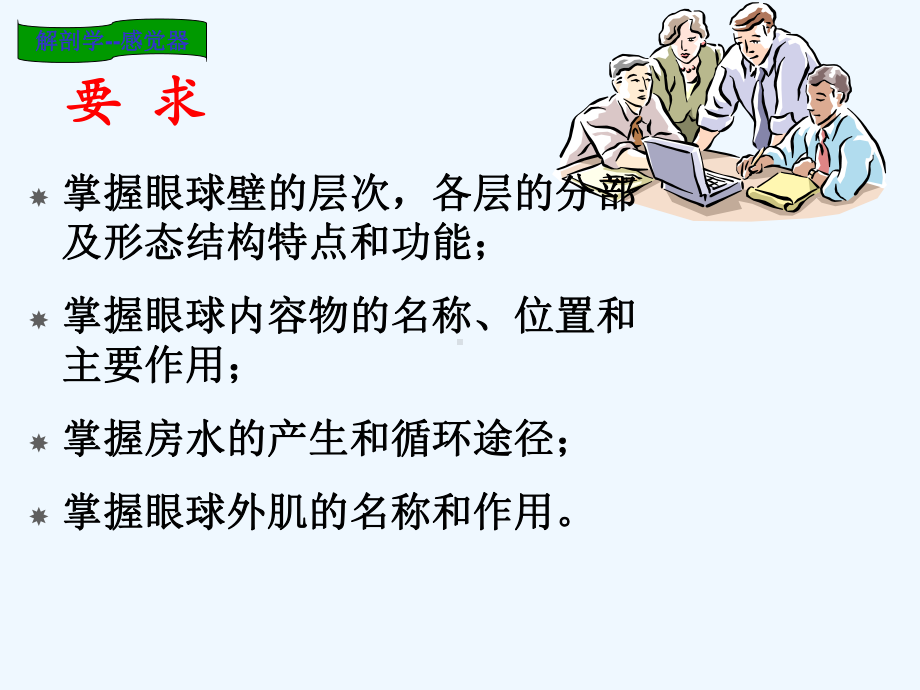 解剖学第九章感觉器课件.ppt_第3页