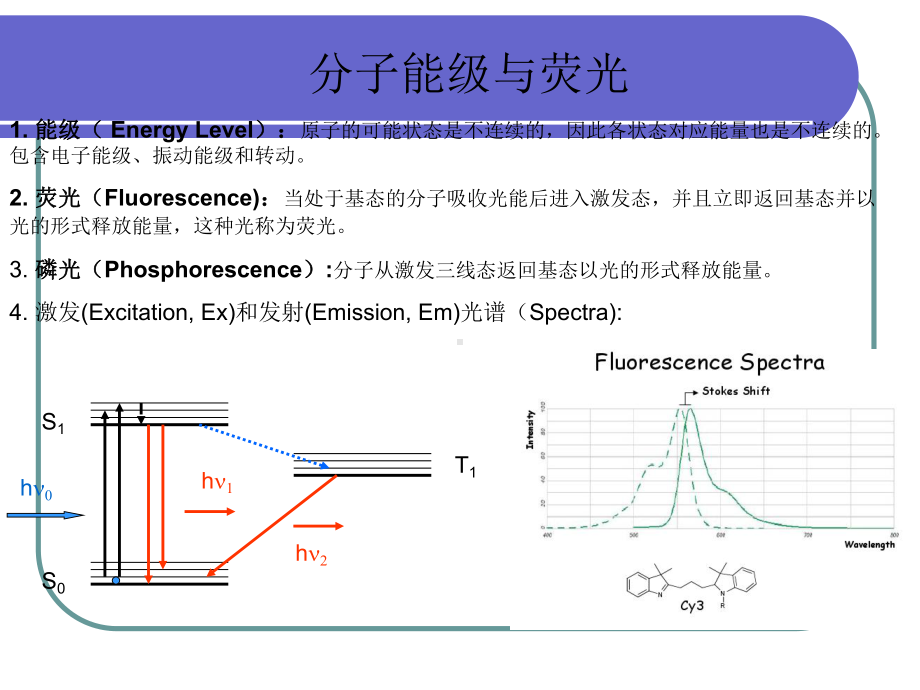 荧光共振能量转移(FERT)课件.ppt_第2页