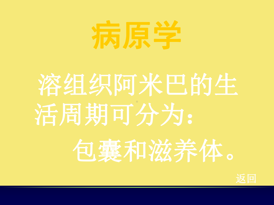 肠阿米巴病优秀资料课件.ppt_第3页