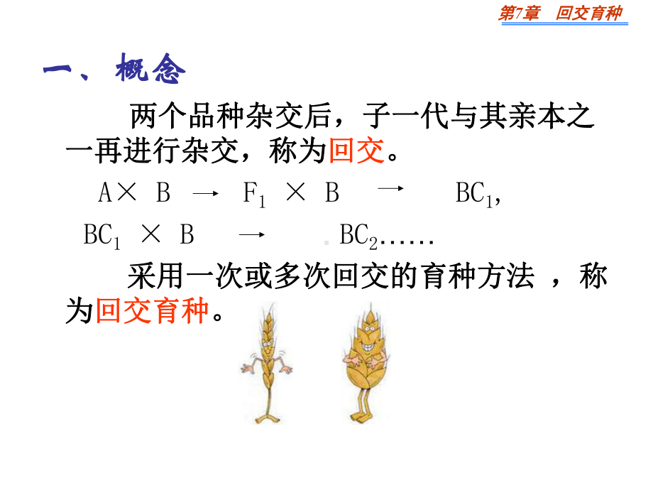 第四节回交育种课件.ppt_第2页