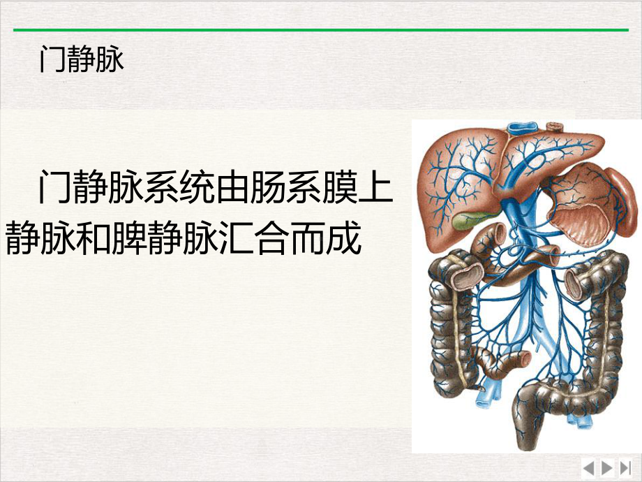 门静脉高压课件.pptx_第2页