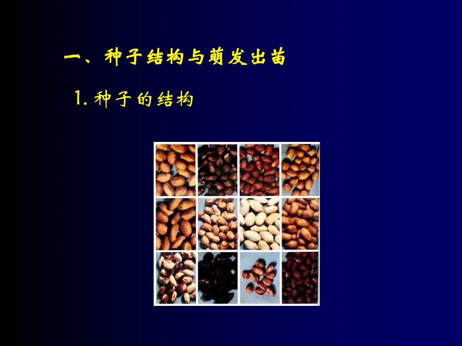 经济作物器官建成课件.ppt_第2页