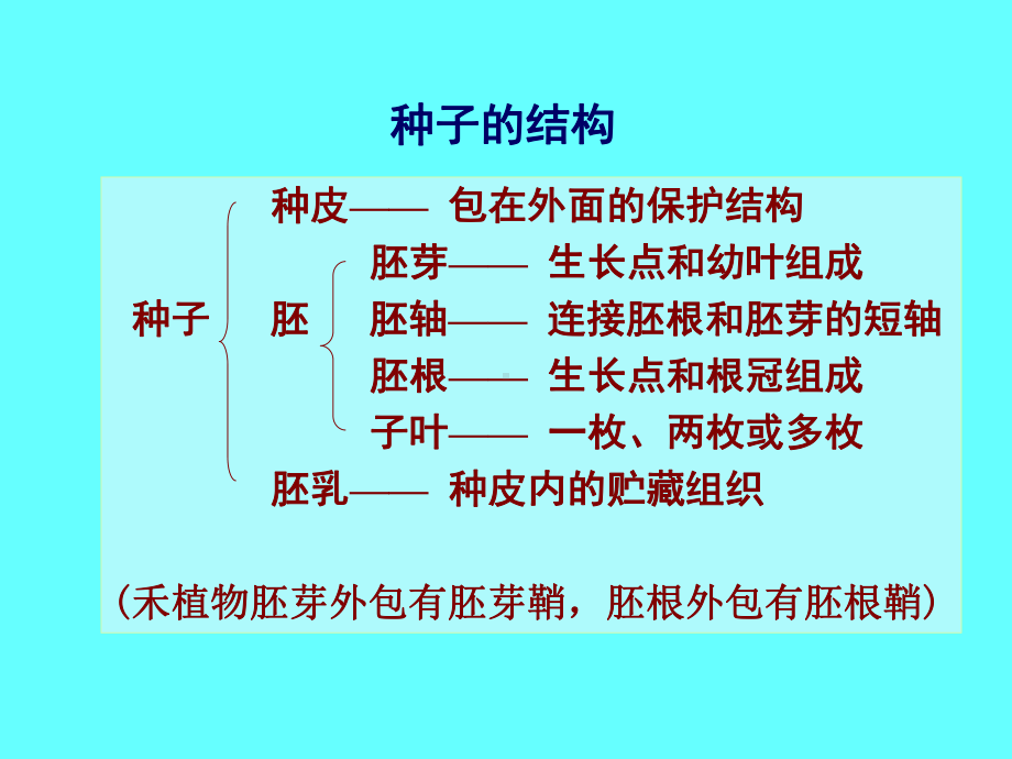 经济作物器官建成课件.ppt_第3页