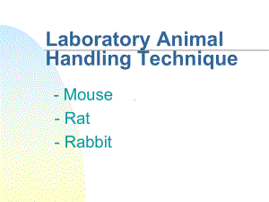 小鼠常用实验技术课件.ppt