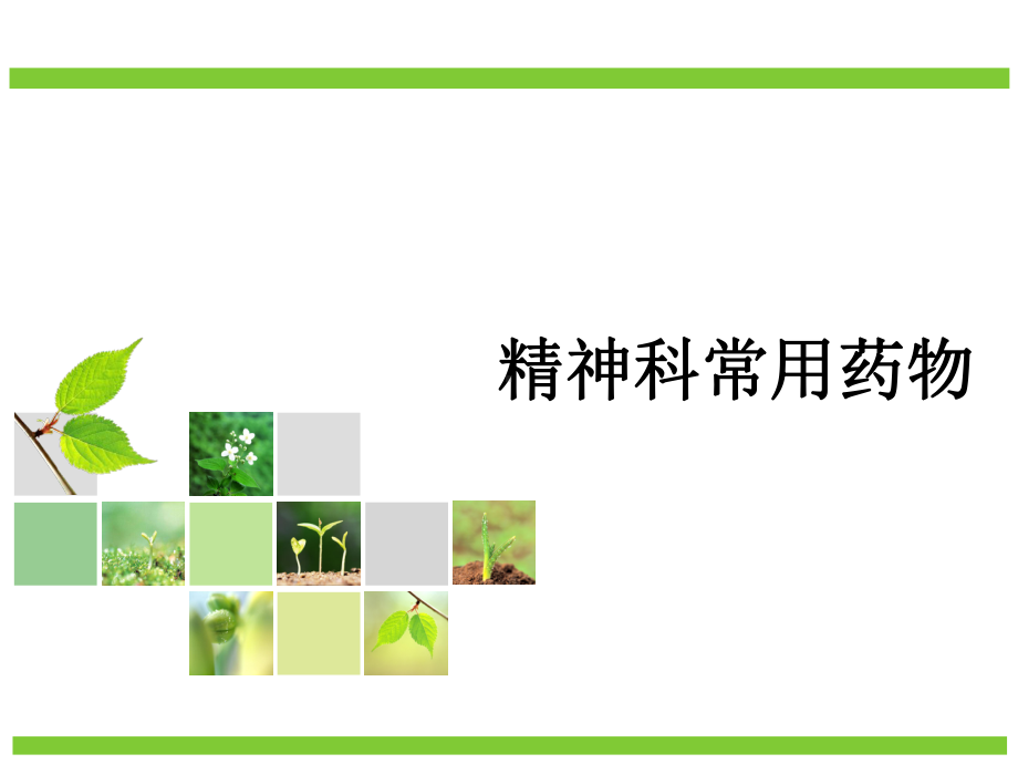 精神科常用药物-课件.ppt_第1页