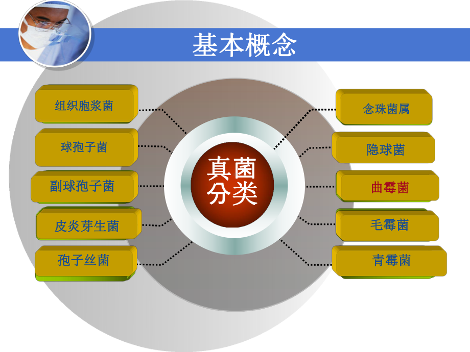 肺曲霉菌病护理-新课件.ppt_第3页