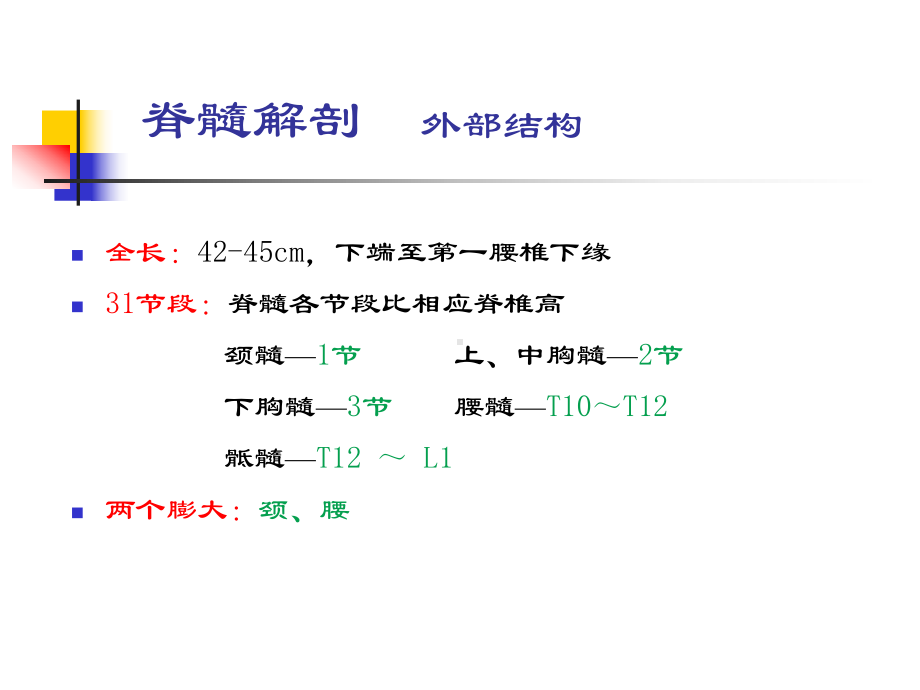 脊髓疾病课件-002.ppt_第2页