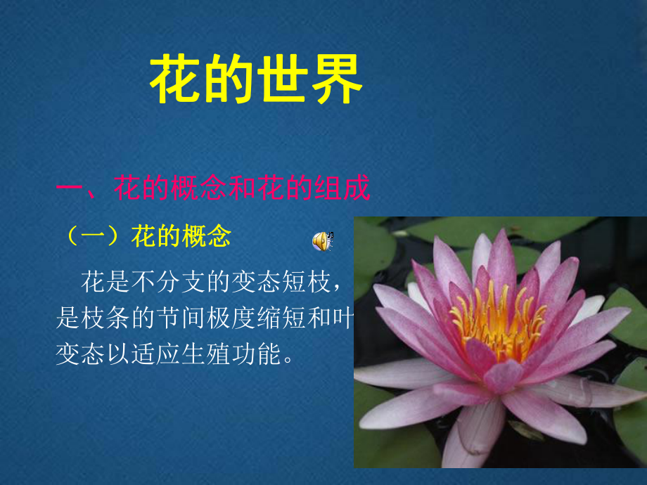 花的世界课案课件.ppt_第1页