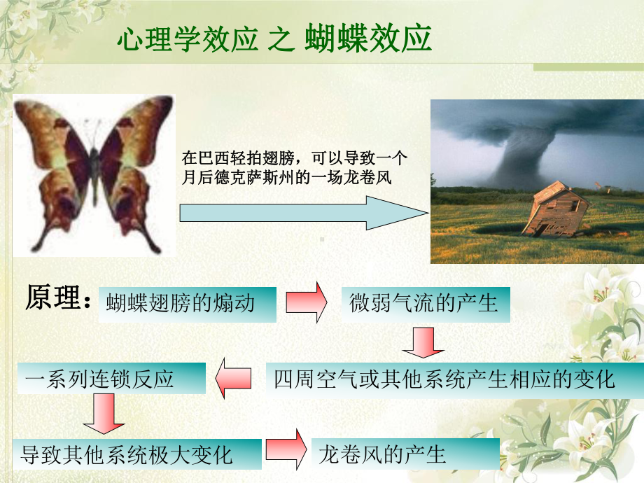 第二章-康复心理学基础课件.ppt_第2页