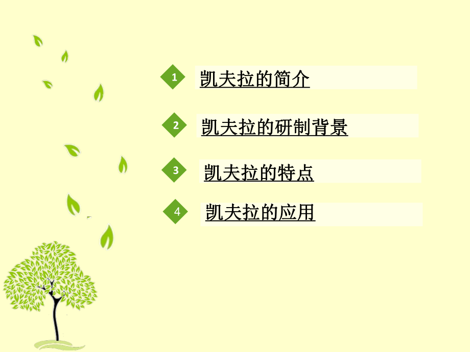 芳纶纤维凯夫拉应用课件.ppt_第2页