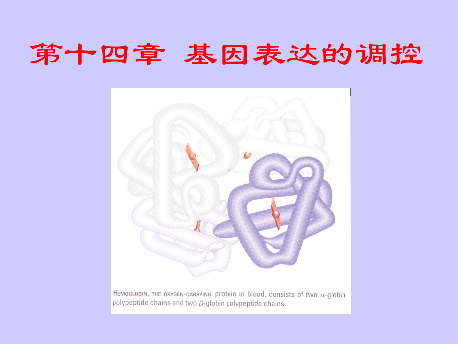 遗传学课件14第十四章(表达调控).ppt_第1页