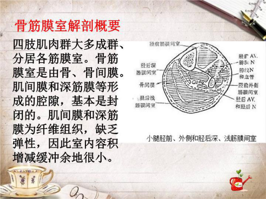 骨筋膜室综合征护理-课件.ppt_第3页