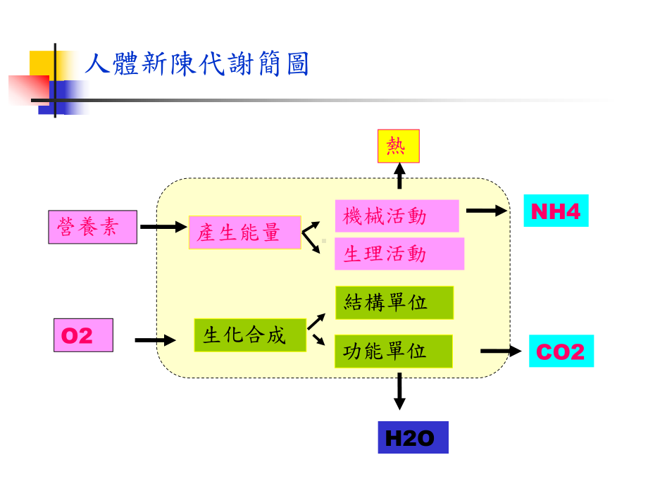 身体评估在护理的运用课件.ppt_第2页