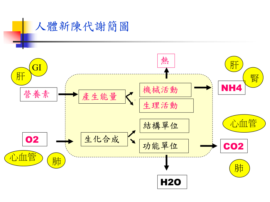 身体评估在护理的运用课件.ppt_第3页