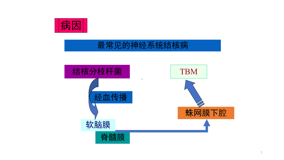 结核性脑膜炎-课件.ppt_第3页