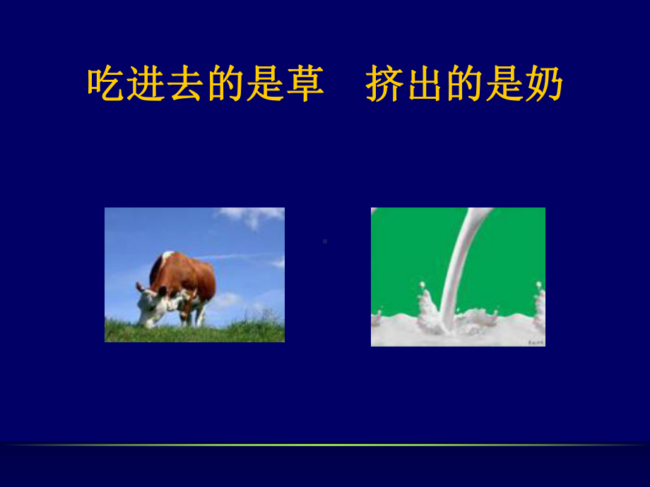 酵母培养物与瘤胃功能的发挥梁老师-课件.ppt_第3页