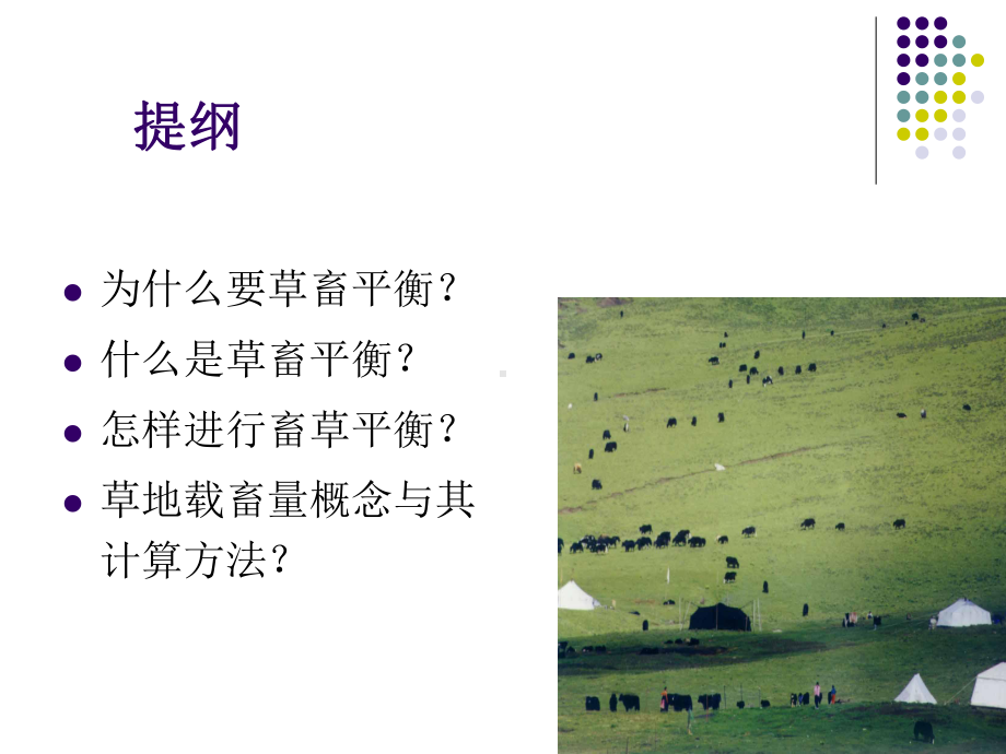 草畜平衡理论与草地载畜量计算讲稿课件.ppt_第2页