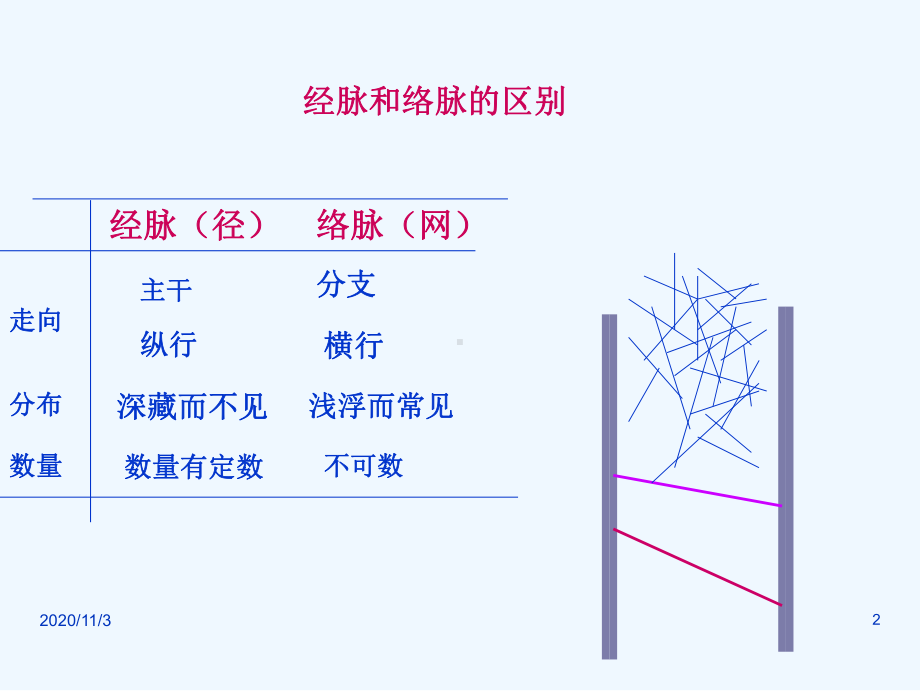 经络腧穴概述课件.ppt_第2页