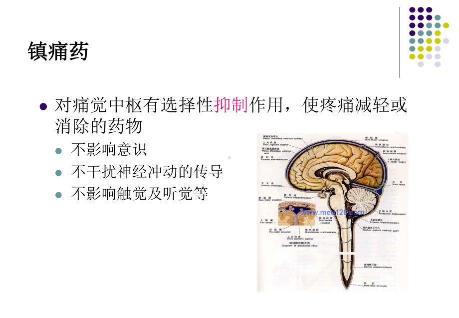 药物化学中枢神经镇痛药课件.ppt_第2页