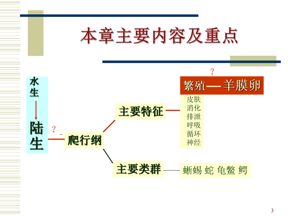 脊椎动物五爬行纲课件.ppt_第3页