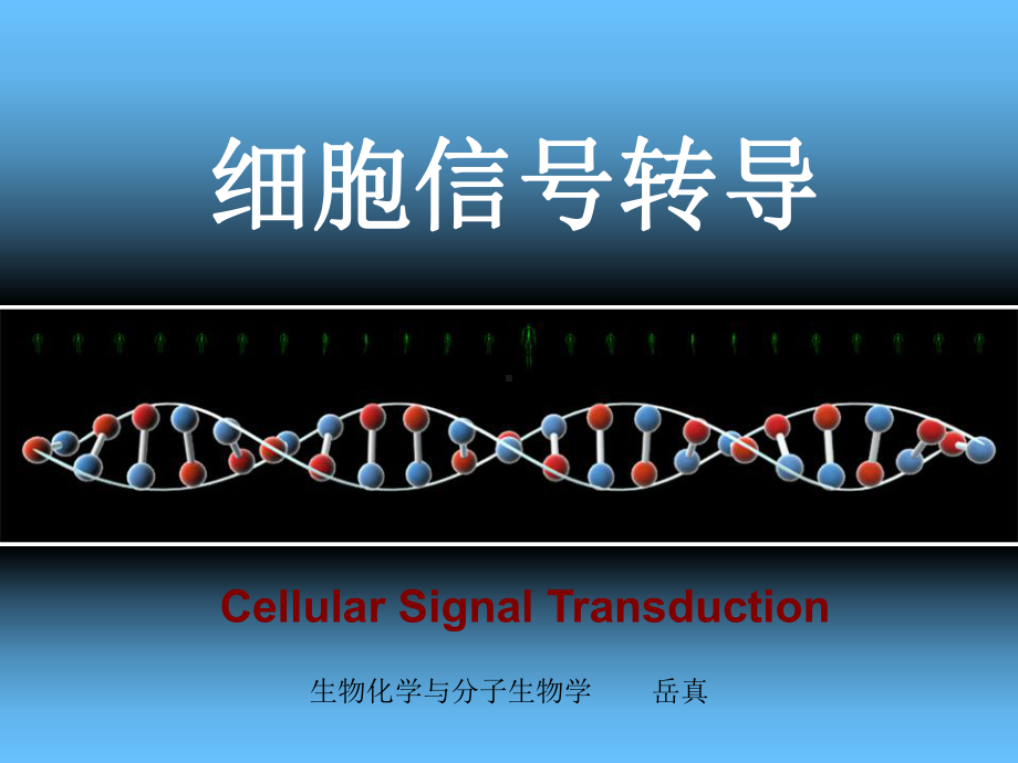 细胞信号转导课件.ppt_第1页