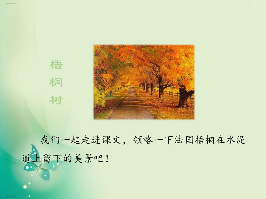 新统编版三年级上册《铺满金色巴掌的水泥道》-课件1.ppt_第3页