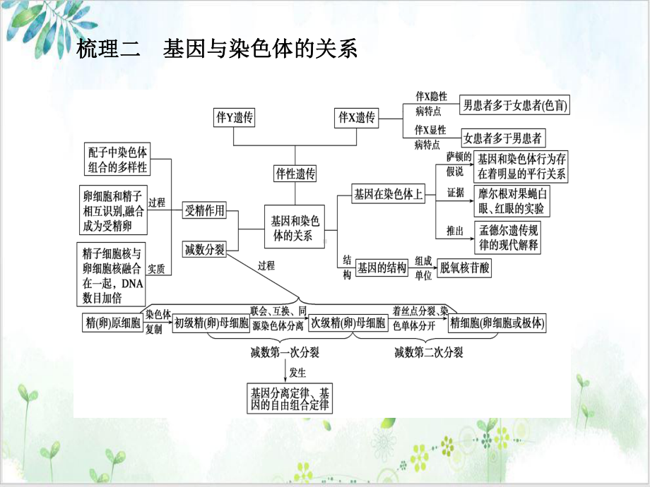 第四讲遗传基本定律的知识梳理与题型探究优质课件.ppt_第3页