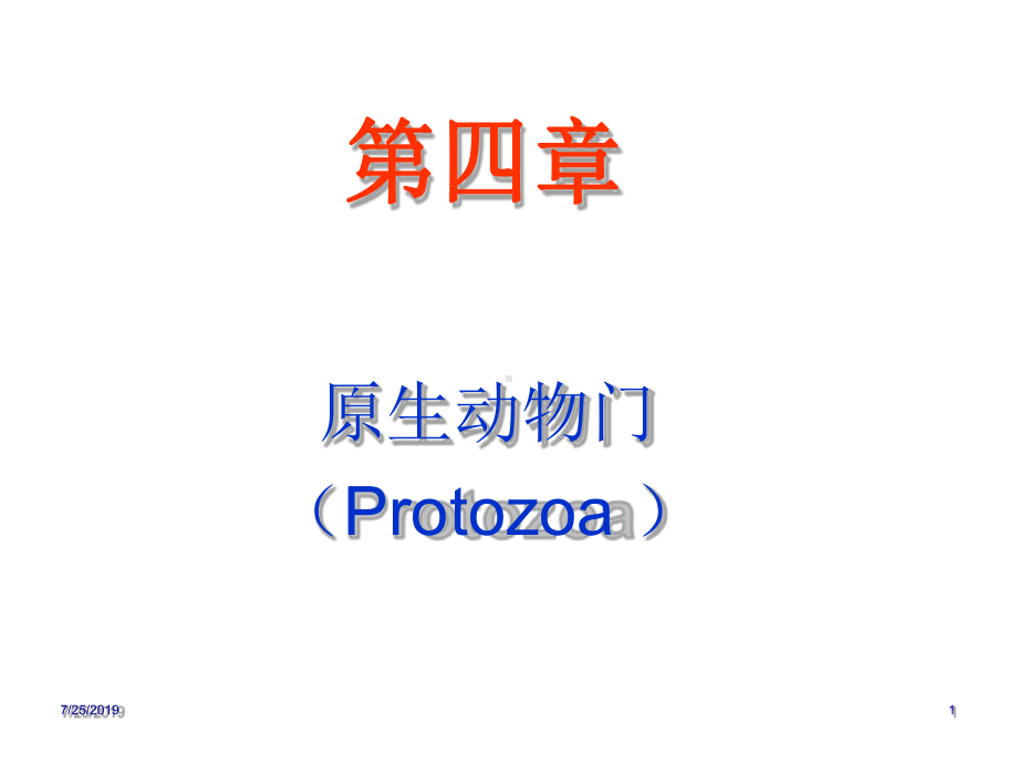 原生动物门海绵Protozoa课件.ppt_第1页