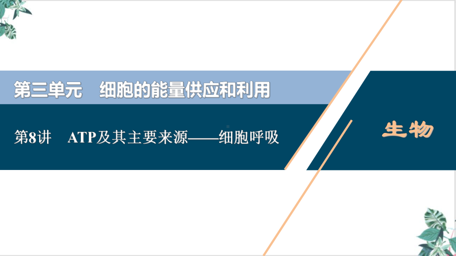 ATP及其主要来源—细胞呼吸课件新高考总复习生物(福建).ppt_第1页