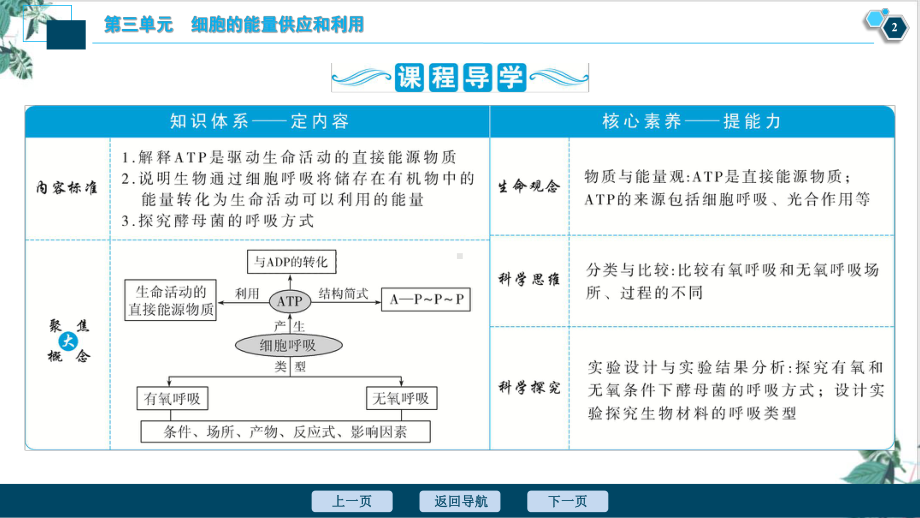 ATP及其主要来源—细胞呼吸课件新高考总复习生物(福建).ppt_第3页