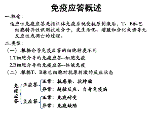 B细胞介导的免疫反应课件.pptx