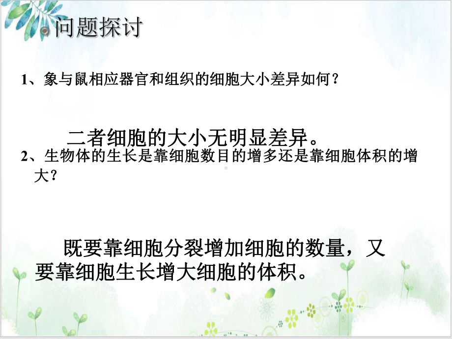 第六章细胞增殖课件.ppt_第3页