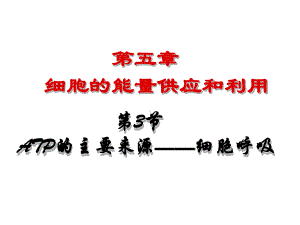 53节ATP的主要来源──细胞呼吸课件共解析.ppt