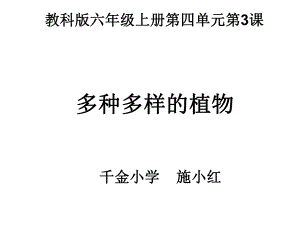 六上四3多种多样的植物课件.pptx