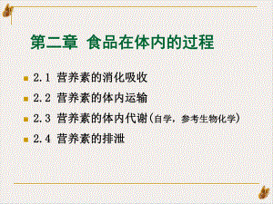 食品营养食品在体内的过程课件.pptx