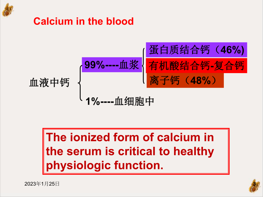 钙离子钙离子的生理作用介绍课件.pptx_第3页